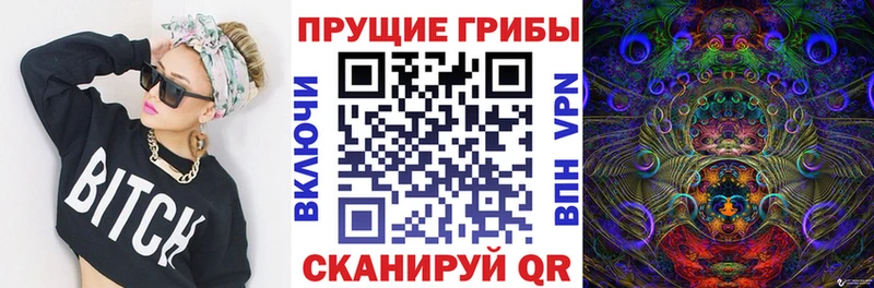 Псилоцибиновые грибы мухоморы  это состав  Мытищи  mega зеркало 